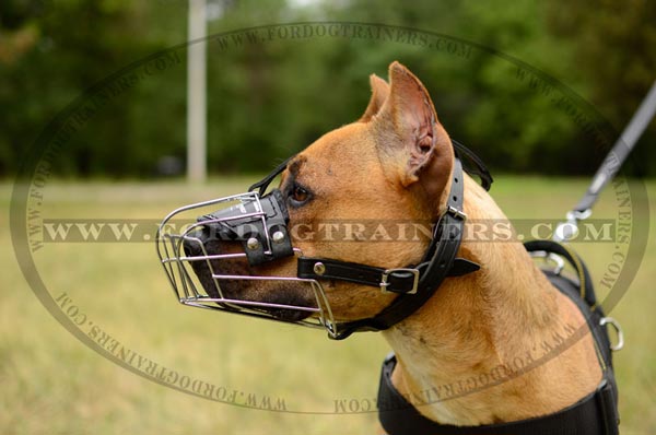 Strong reliable wire basket muzzle for Pitbull