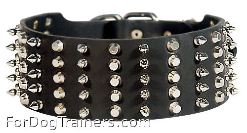 3 inch Spiked and Studded Pitbull collar