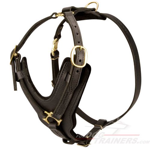 Border Collie Leather Dog Harness- Tracking,Walking Dog Harness - Click Image to Close