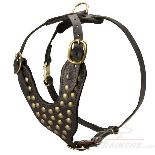 Boxer Studded Walking dog harness- handmade leather harness