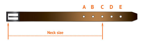 Sizing Diagram for  Buckle Collars