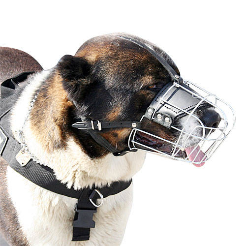 Basket Dog Muzzles for Caucasian Shepherd - Click Image to Close