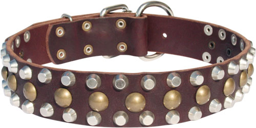 Leather Dog Collar Adorned with Pyramids and Studs