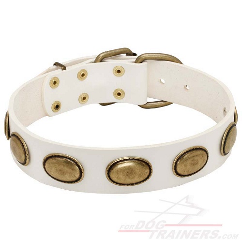 White Leather Dog Collar with Brass Plates for Walking