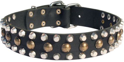 Leather Dog Collar with Hand Set Pyramids and Studs