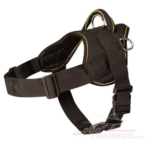 Fila Brasileiro Nylon dog harness with handle-Brazilian Mastiff - Click Image to Close