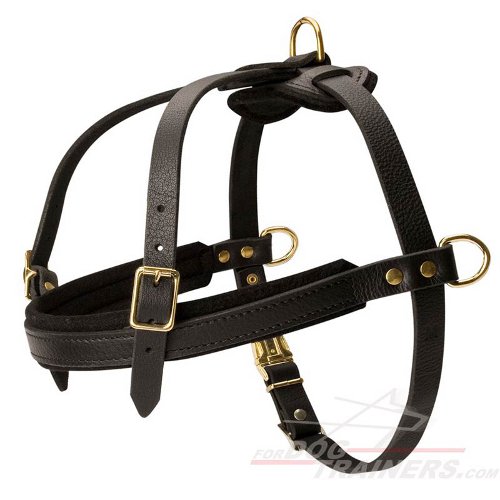 Fila Brasileiro walking Leather Dog Harness- harness for Molosse