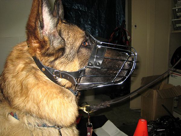 No Bite Dog Muzzle with Metal Cage for Easy Walking and Safe Training