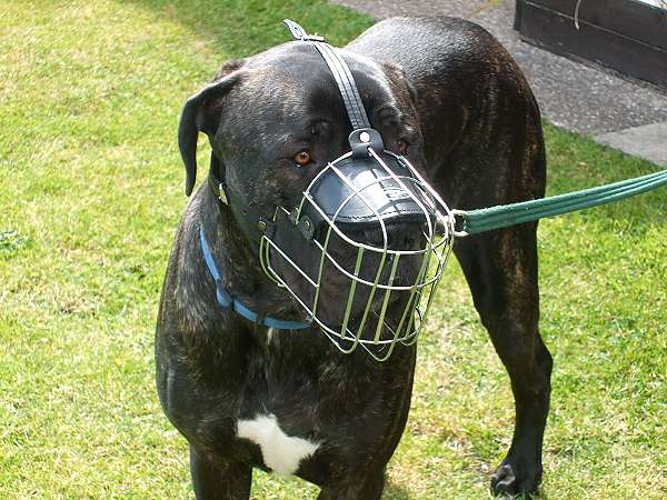 Adjustable Metal Wire Cage Dog Muzzle | Great Dane Muzzles