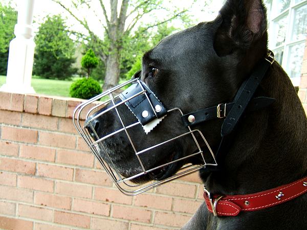 Wire Basket Dog Muzzles Size Chart - M4light_3