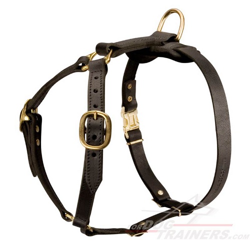 Labrador Retriever Luxury handcrafted dog harness- Labrador