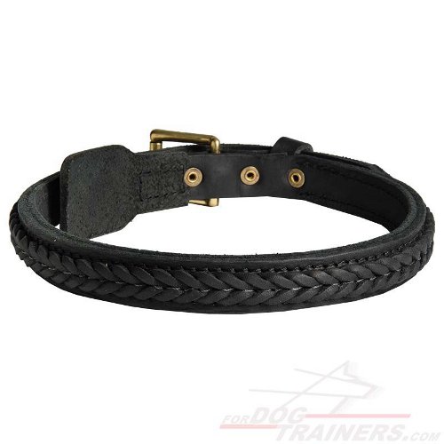 Marvellous Braided Leather Dog Collar