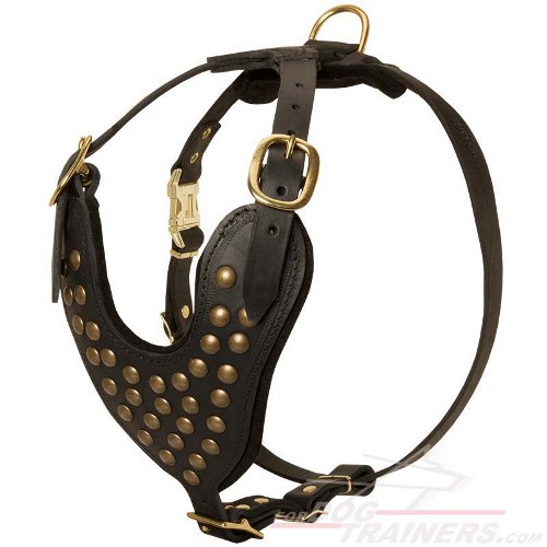 Studded Leather Dog Harness for Walking and Training - Click Image to Close