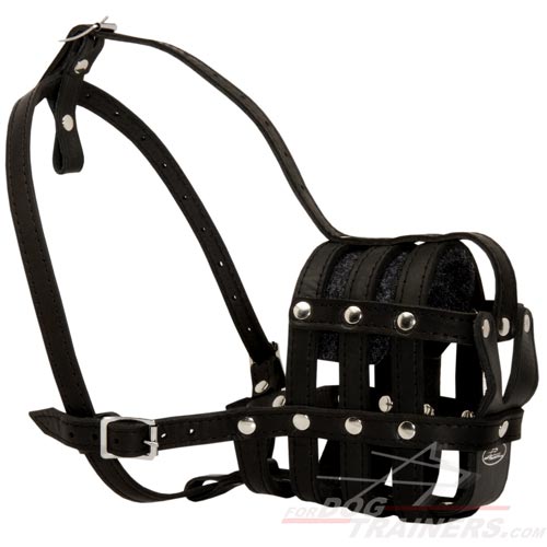 Lightweight Leather Basket Muzzle Well-Ventilated for Walking, Training, Vet Visits and Transportation