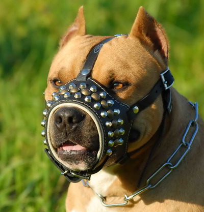 Loop-like Design Studded Leather Dog Muzzle for Pitbull Training and Walking