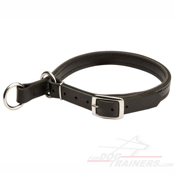 Reliable Leather Choke Cane Corso Collar