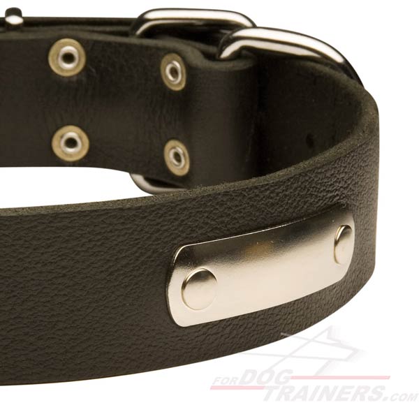 Excellent Leather Pitbull Collar