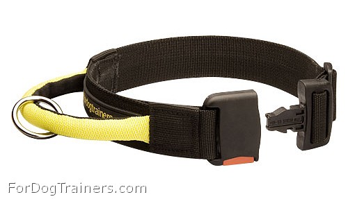 Nylon Dog Collar for Any Weather with Handle and Quick Release Buckle - Click Image to Close