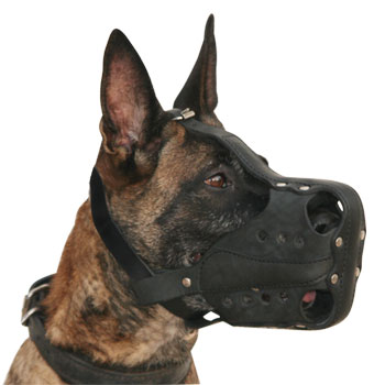 New Malinois hard dogs leather working muzzle - M56