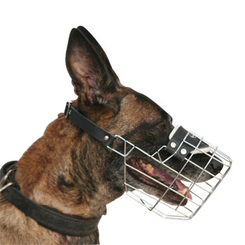 petsmart muzzle