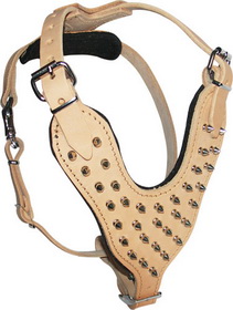 Spiked Leather Dog Harness for Training and Walking