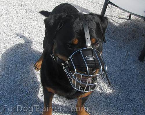 Ares loves new Basket Dog Muzzle (All Sizes)