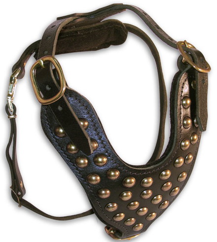 Luxury Studded Leather Dog Harness for Daily Wearing