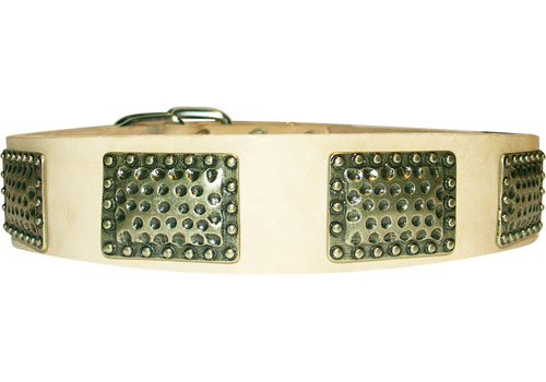 StylishLeather Dog Collar Adorned in War Style