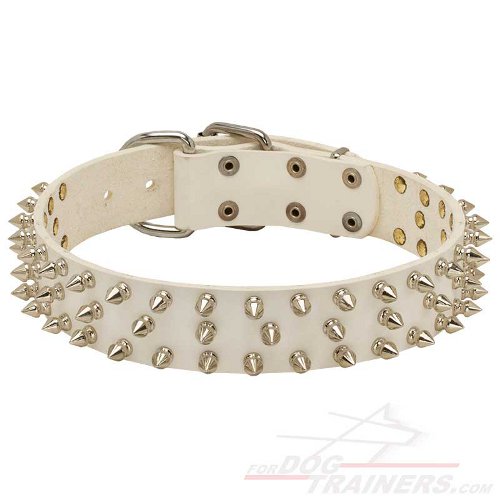 New Fashionable White Leather Dog Collar with Spikes