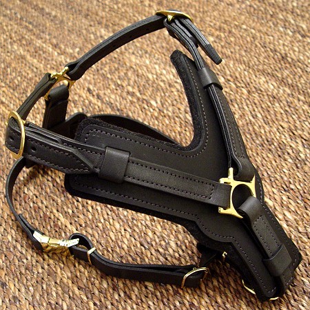 Exclusive Luxurious Handcrafted Padded Leather Dog Harness Perfect for your Bullmastiff H10