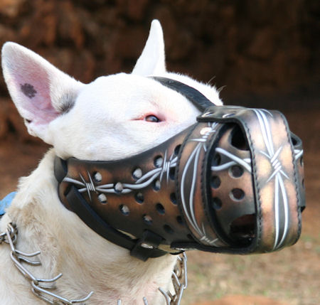 Hand painted by our artists leather Muzzle "Dondi" Plus-BULL TERRIER - Barbed Wire - product code m77BARBED WIRE