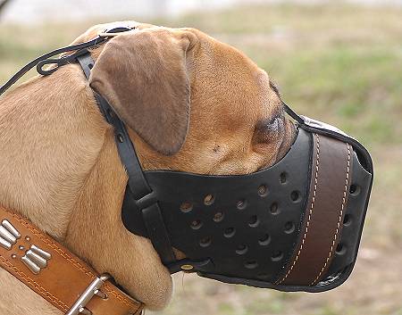 Leather dog muzzle "Dondi" style For Bullmastiff - M55