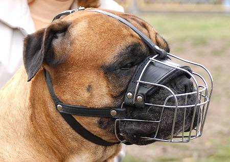 Metal Basket Dog Muzzle for Easy Breathing and Drinking Water