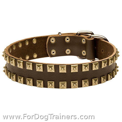"Caterpillar" Designer Leather Dog Collar with Square Brass Studs