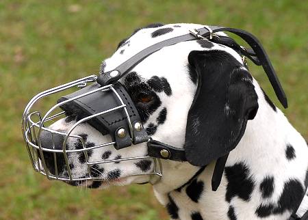 Basket Wire Dog Muzzle Light For Dalmatian - M4light