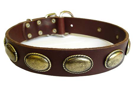 Leather Canine Collar Decorated With Vintage Oval Plates