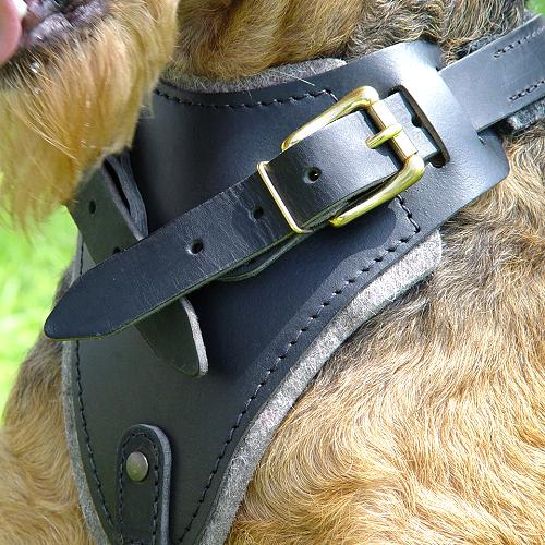 Strong Dog Harness for Attack Training and Daily Walking