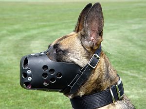 Leather dog muzzle - M31 - Click Image to Close