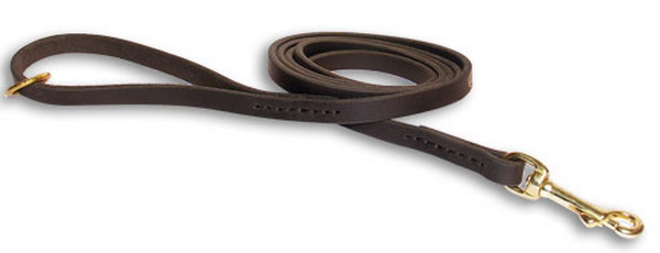 Handcrafted Leather Dog Leash with Floating Brass O-ring