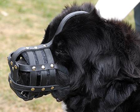 Everyday Light Weight Super Ventilation Newfoundland muzzle - product code M41 - Click Image to Close