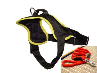 Nylon Dog Control Harness with Handle for Tracking, Pulling and Walking