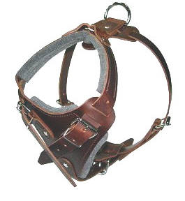 padded leather dog harness