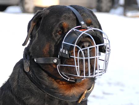 Basket Wire Dog Muzzle Light For Rottweiler - M4light - Click Image to Close