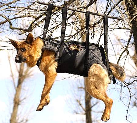 German Shepherd Tactical Insertion Nylon Dog Harness - Click Image to Close