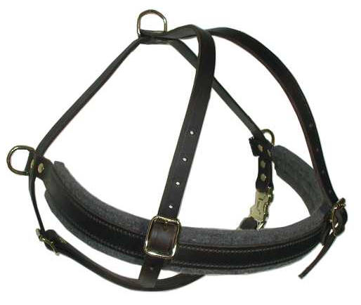 tracking walking dog harness