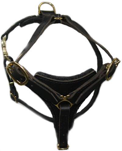 dog harness for Staffordshire Bull Terrier