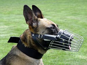 Basket wire dog muzzle perfect for Malinois M90