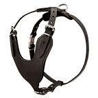 Padded Leather Dog Harness for Agitation/Protection/Attack Training and Walking
